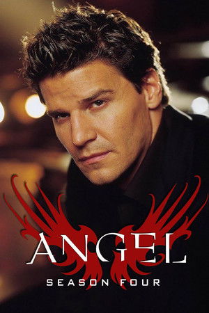 Angel الموسم 4 اون لاين