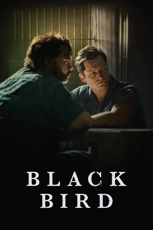 Black Bird مترجم