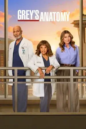 Grey's Anatomy مترجم