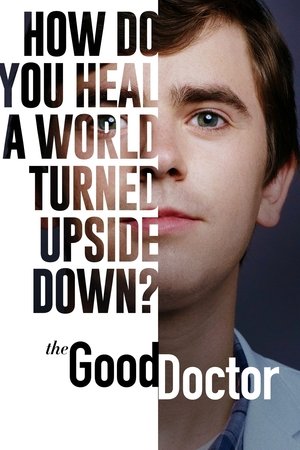 The Good Doctor الموسم 4 اون لاين