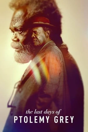 The Last Days of Ptolemy Grey مترجم